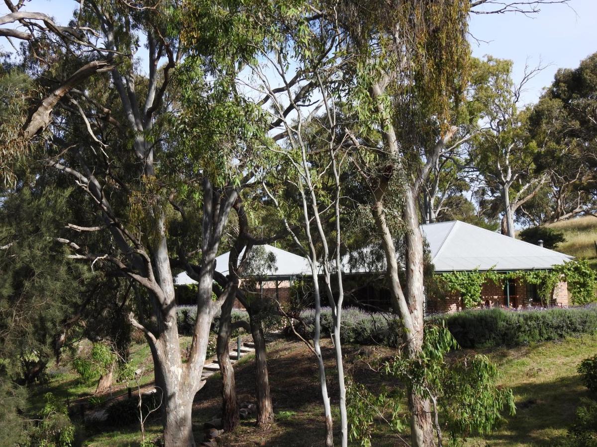 Battunga Cottages Watervale Exterior photo